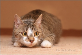 <p>Mia</p>